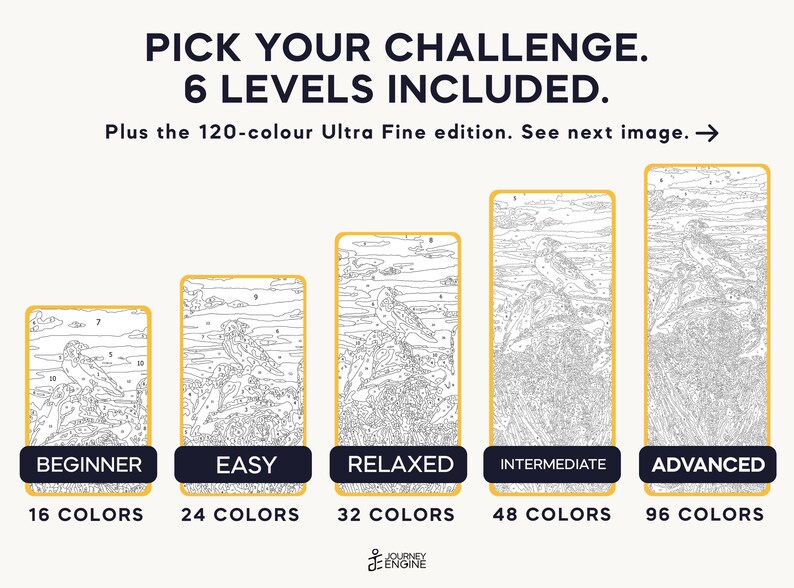 May include: Five paint-by-number canvases with bird illustrations, labeled Beginner, Easy, Relaxed, Intermediate, and Advanced, featuring 16, 24, 32, 48, and 96 colors respectively. Text reads: PICK YOUR CHALLENGE. 6 LEVELS INCLUDED.