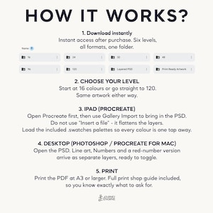 May include: An instructional graphic titled HOW IT WORKS? detailing five steps for digital files. It lists folder options for 16, 24, 32, 48, 96, 120, Layered PSD, and Print Ready Artwork. Instructions cover choosing levels, iPad Procreate usage, desktop Photoshop usage, and printing at A3 or larger, with a Journey Engine logo at the bottom.