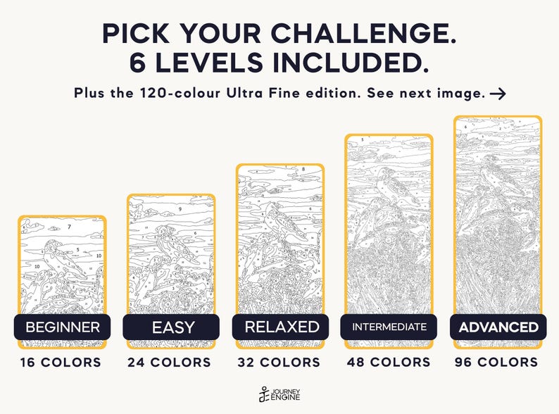 May include: Five paint-by-number canvases with bird illustrations, labeled Beginner, Easy, Relaxed, Intermediate, and Advanced, featuring 16, 24, 32, 48, and 96 colors respectively. Text reads: PICK YOUR CHALLENGE. 6 LEVELS INCLUDED.