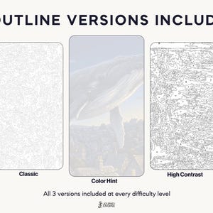 May include: Three paint-by-number templates labeled 3 OUTLINE VERSIONS INCLUDED. The left is a Classic line drawing, the center is a Color Hint version with a whale over a town, and the right is a High Contrast version with numbered sections.