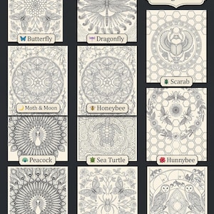 May include: A collection of ten coloring book themes, each with three designs, featuring intricate illustrations of butterflies, dragonflies, scarabs, honeybees, peacocks, sea turtles, hummingbirds, spiders, roses, moths, and owls. The text reads "10 Stunning Themes, 3 Designs Each."