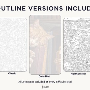 May include: Three paint-by-number templates featuring a cat sleeping on books. The set includes a Classic version with light lines, a Color Hint version with a semi-transparent image, and a High Contrast version with bold lines and numbered sections.