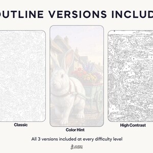 May include: Three paint-by-number templates featuring a rabbit pulling a cart of flowers. The set includes a Classic outline, a Color Hint version with a faded image of the rabbit, and a High Contrast outline. Text reads 3 OUTLINE VERSIONS INCLUDED.