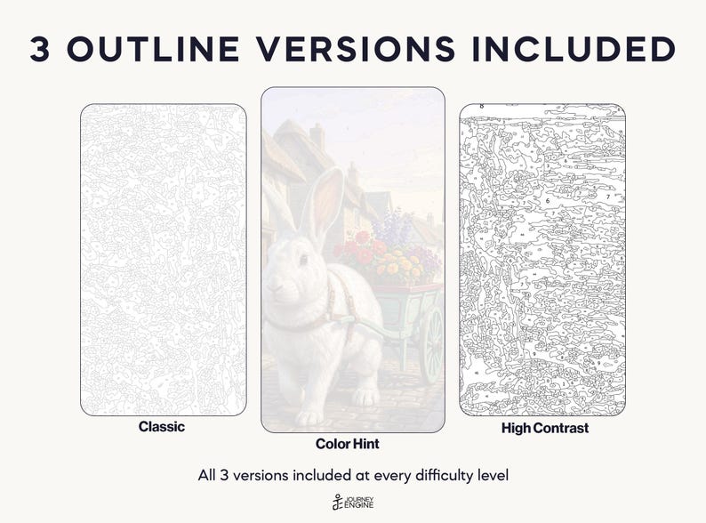 May include: Three paint-by-number templates featuring a rabbit pulling a cart of flowers. The set includes a Classic outline, a Color Hint version with a faded image of the rabbit, and a High Contrast outline. Text reads 3 OUTLINE VERSIONS INCLUDED.