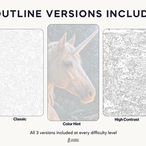 May include: Three paint-by-number templates featuring a unicorn. The left is a classic light outline, the center is a color hint version with a unicorn image, and the right is a high contrast black outline. Text reads 3 OUTLINE VERSIONS INCLUDED.
