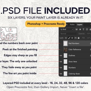 May include: A digital graphic displaying a PSD file structure with six layers for painting. Text includes .PSD FILE INCLUDED, Photoshop + Procreate Ready, and labels for layers like Red Numbers, Color Reference, Outlines, Draw Here, and Coloring faces.