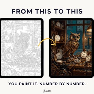 May include: Two tablets displaying a paint-by-number project. The left screen shows a grayscale line drawing of an owl surrounded by clocks. The right screen shows the completed, full-color version of the same scene. Text reads FROM THIS TO THIS and YOU PAINT IT. NUMBER BY NUMBER.