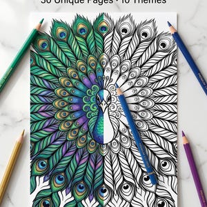 May include: A coloring book titled "Nature Mandala Coloring Book" with a peacock design, featuring 30 unique pages and 10 themes. The peacock is partially colored with green, blue, and purple hues, and surrounded by colored pencils.