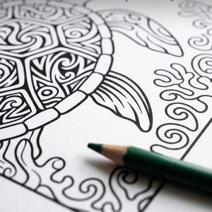 May include: Black and white line art of a turtle with intricate patterns, ready for coloring. A green colored pencil rests on the corner of the page. Text reads: Bold Clean Lines, Spacious Colorable Areas, 300 DPI High Resolution, Crisp Prints Every Time.