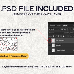 May include: A digital graphic showing a PSD file interface with layers for numbers and coloring faces. Text includes .PSD FILE INCLUDED, NUMBERS ON THEIR OWN LAYER, Photoshop + Procreate Ready, and Layered PSD included at every level - 16, 24, 32, 48, 96 & 120 colors.