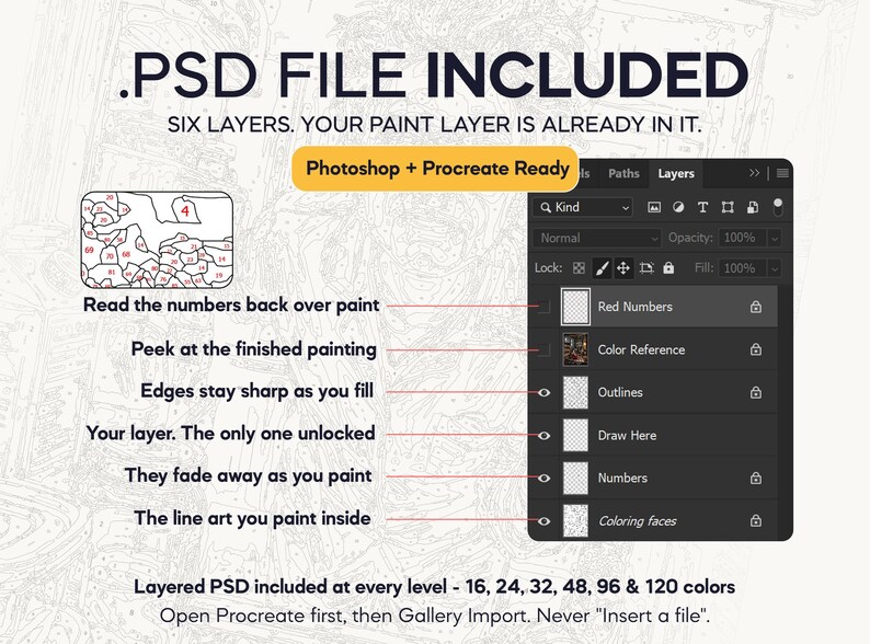 May include: A digital graphic displaying a PSD file structure with six layers for painting. Text includes .PSD FILE INCLUDED, Photoshop + Procreate Ready, and labels for layers like Red Numbers, Color Reference, Outlines, Draw Here, and Coloring faces.