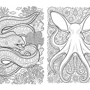 May include: A black and white coloring page featuring two distinct panels. The left panel shows a moray eel swimming among coral reefs and small fish. The right panel displays a large octopus surrounded by various seashells and sea urchins.