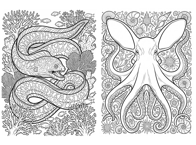 May include: A black and white coloring page featuring two distinct panels. The left panel shows a moray eel swimming among coral reefs and small fish. The right panel displays a large octopus surrounded by various seashells and sea urchins.