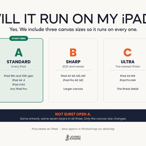 May include: An informational graphic titled WILL IT RUN ON MY IPAD? with three columns labeled A STANDARD, B SHARP, and C ULTRA. It lists compatibility for iPad models including iPad 9th and 10th gen, Air 4, mini, Pro, and M-series chips. Includes a footer note.