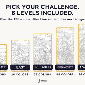 May include: Five paint-by-number canvases with bird illustrations, labeled Beginner, Easy, Relaxed, Intermediate, and Advanced, featuring 16, 24, 32, 48, and 96 colors respectively. Text reads: PICK YOUR CHALLENGE. 6 LEVELS INCLUDED.