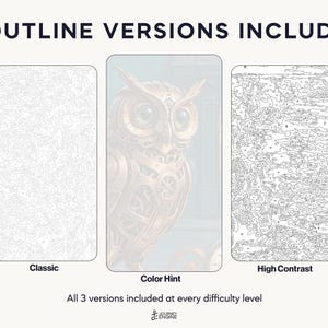 May include: Three paint-by-number templates featuring an owl design. The set includes a Classic version with light lines, a Color Hint version with a semi-transparent owl image, and a High Contrast version with bold black lines and numbered sections.