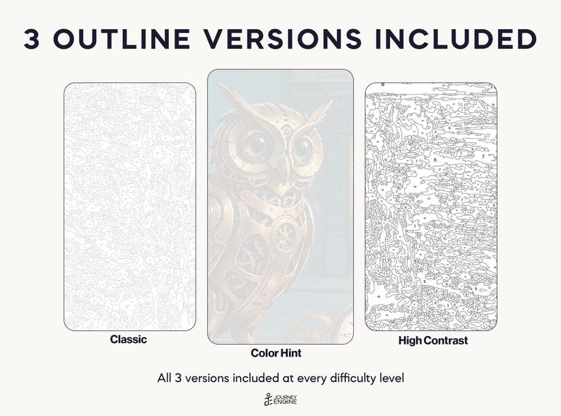 May include: Three paint-by-number templates featuring an owl design. The set includes a Classic version with light lines, a Color Hint version with a semi-transparent owl image, and a High Contrast version with bold black lines and numbered sections.