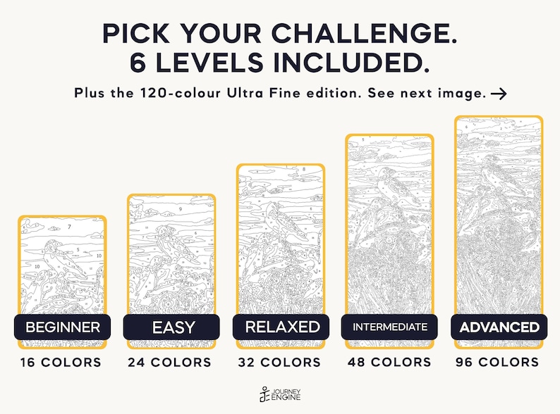 May include: A paint-by-numbers set featuring 6 levels of difficulty, ranging from Beginner with 16 colors to Advanced with 96 colors. The image displays five vertical panels with bird illustrations, labeled Beginner, Easy, Relaxed, Intermediate, and Advanced.