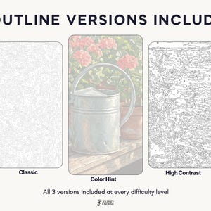May include: Three paint-by-number templates labeled 3 OUTLINE VERSIONS INCLUDED. The left is a Classic white outline, the center is a Color Hint version showing a metal watering can and pink flowers, and the right is a High Contrast black outline.