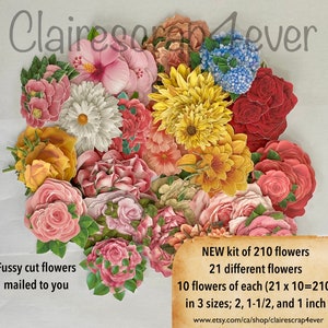 210 fleurs coupées difficiles au total, 3 tailles 1, 1-1/2 et 2 pouces, prêtes à être utilisées dans des carnets de bord,