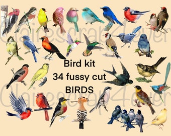 Kit of 34 birds - fussy cutted - ready to use - junk journals - cards - mixed media art - no white borders