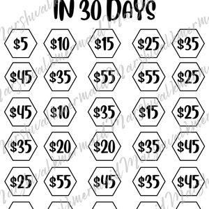 Money Saving Challenge (Save 1,000 dollars in 30 days!)