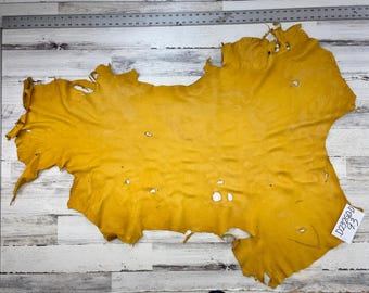Piel de ciervo, 9,3 pies cuadrados, color oro, 2-3 onzas, buena calidad, artesanía en cuero, piel de ciervo, hecho en EE. UU., D231GD-D