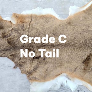 Tanned Whitetail Deer Hide, Grade C, Hair-On Leather Hide No Tail, White Tail Deer Hide for Crafts, Decorations, Rug, Made in USA