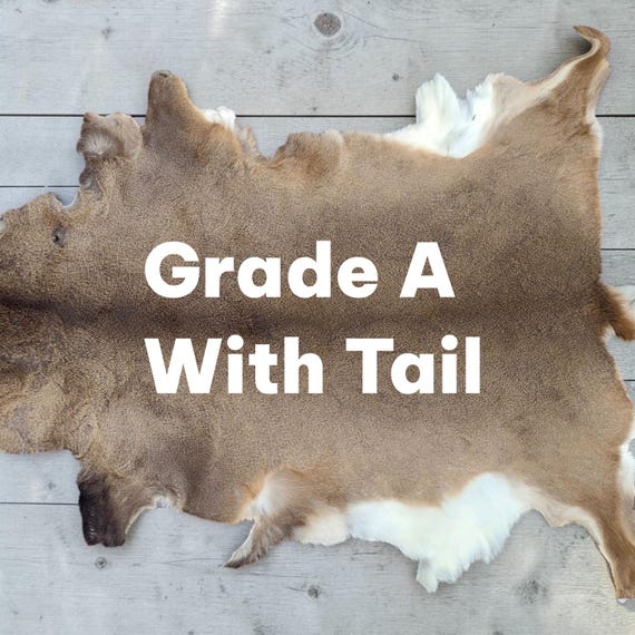 Whitetail Deer Hide, Grade A, Tanned Hair-On Leather Hide with Tail, White Tail Deer Skin for Crafts, Rug, Wall Decor, Made in USA