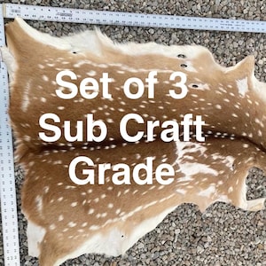 May include: A set of three tan and white spotted animal hides with fur, positioned next to a white ruler showing measurements in inches. The text Set of 3 Sub Craft Grade is overlaid on the center of the hides, which have irregular edges.