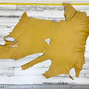Deerskin,  7.3 Sqft, Deer Hide, Craft Grade Hide, 2-3OZ, Deer Buckskin, Gold Color, Made In The USA, DG08
