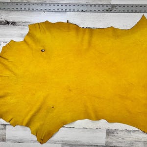 Hirschleder, 2,5 m², goldgelb, 100-120 ml, Schöne Häute, Lederhandwerk, Hirschleder, Made in USA, D258GD-D