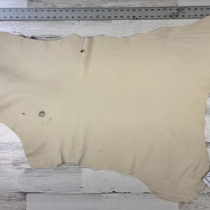 May include: A light beige leather hide with a few small holes and marks. The hide is laid out on a white wooden surface. The text "DJ30PAD 61" is written on a white tag in the lower right corner of the image.