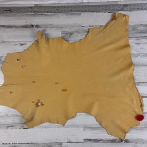 Deerskin, 7.5 Sqft, Cream, 3-3.5 oz, Craft Leather, Deer Buckskin, Made in USA, D091GY-E