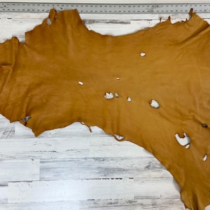 Hirschleder, Hirschleder, Craft Grade Hide, 2-3OZ, Hirschleder, Farbe sattelbraun, Hergestellt in den USA, #DSA22, 10 Sqft