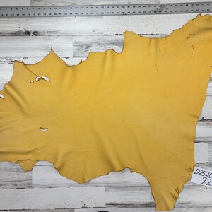 Könnte beinhalten: Ein gelbes Lederfell mit rauer Textur. Das Fell hat mehrere Löcher und liegt auf einer weißen Oberfläche. Ein weißes Etikett mit dem Text "D252CXD 72" befindet sich in der unteren rechten Ecke des Bildes.