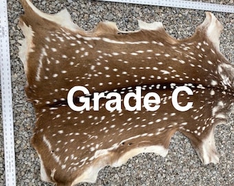 Axis Deer Hide, Grade C, Tanned Hair-On Leather Hide No Tail, Spotted Deer Skin for Crafts, Rustic Decor, Leather Projects, Made in USA