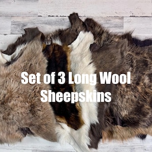 May include: Set of three long wool sheepskins in brown, white, and black. The sheepskins are arranged in a pile on a white wooden surface.