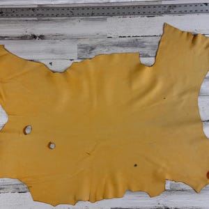 May include: A large, irregularly shaped piece of tanned leather in a warm, golden-yellow hue. The leather has a smooth texture with some natural imperfections, including small holes and subtle variations in colour. A metal ruler is visible along the top left edge.