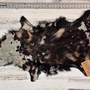 Natural Goatskin Rug, Short Hair Tanned Goatskin for Craft or Décor, Real Leather Pelt GH039