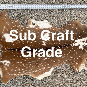 May include: A brown and white animal hide with a spotted pattern, positioned next to two white rulers showing measurements in inches. The text Sub Craft Grade is printed in white across the center of the hide.