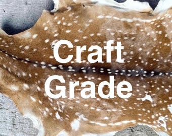 Axis Deer Hide, Craft Grade, Tanned Hair-On Leather Hide No Tail, Spotted Deer Skin for Crafts, Rustic Decor, Leather Projects, Made in USA
