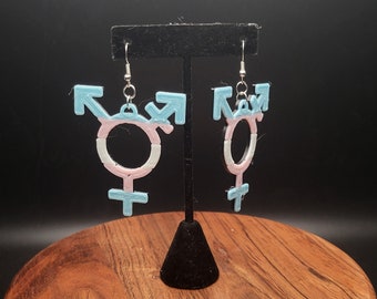 Trans Symbol Pride LGBTQIA+ Earrings