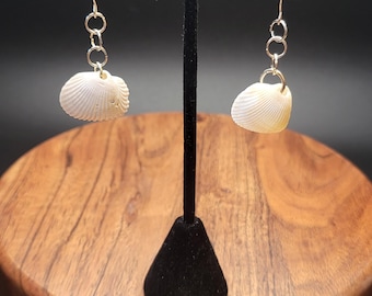 Sea Shell Earrings - Māori Polynesian Pacific Island