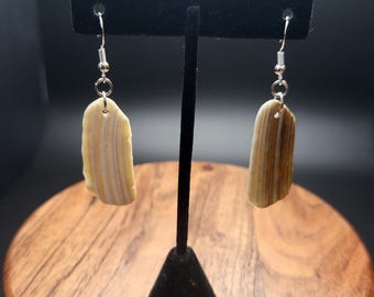 Sea Shell Earrings - Māori Polynesian Pacific Island