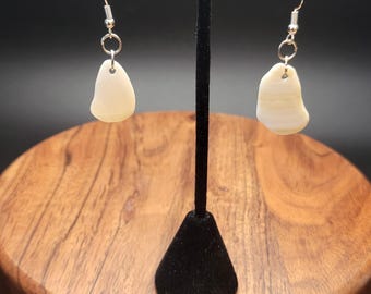 Sea Shell Earrings - Māori Polynesian Pacific Island