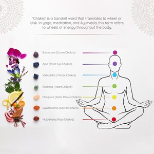 May include: Illustration of the seven chakras, or energy centers, of the body. Each chakra is represented by a different color and is associated with a specific area of the body and a set of qualities. The chakras are shown in a line from the top of the head to the base of the spine. The chakras are labeled with their Sanskrit names and their English translations. The illustration also includes a variety of crystals that are associated with each chakra.