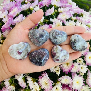 May include: Six heart-shaped tumbled stones in shades of gray, white, and pink. The stones are arranged in a hand, with the tips of the fingers visible.