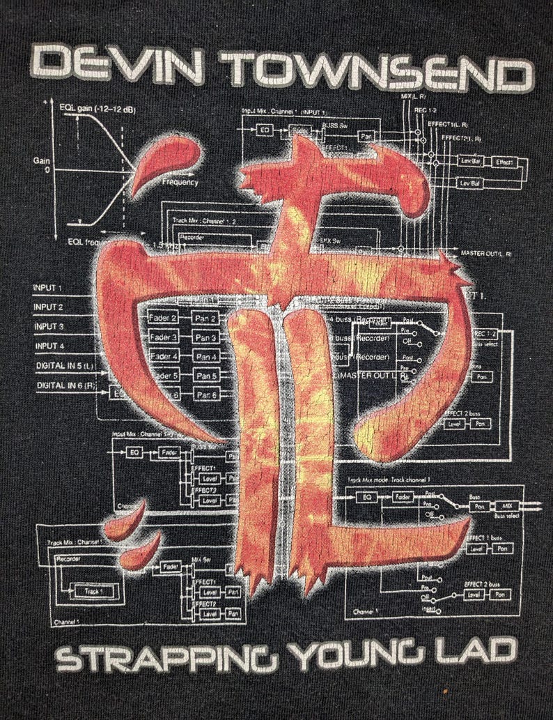 Devin Townsend Strapping Young Lad City Tour TS 2001 Gojira 