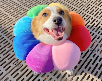 Rainbow Flower Recovery Collar/e-collar/ Elizabethan Collar - Main Image